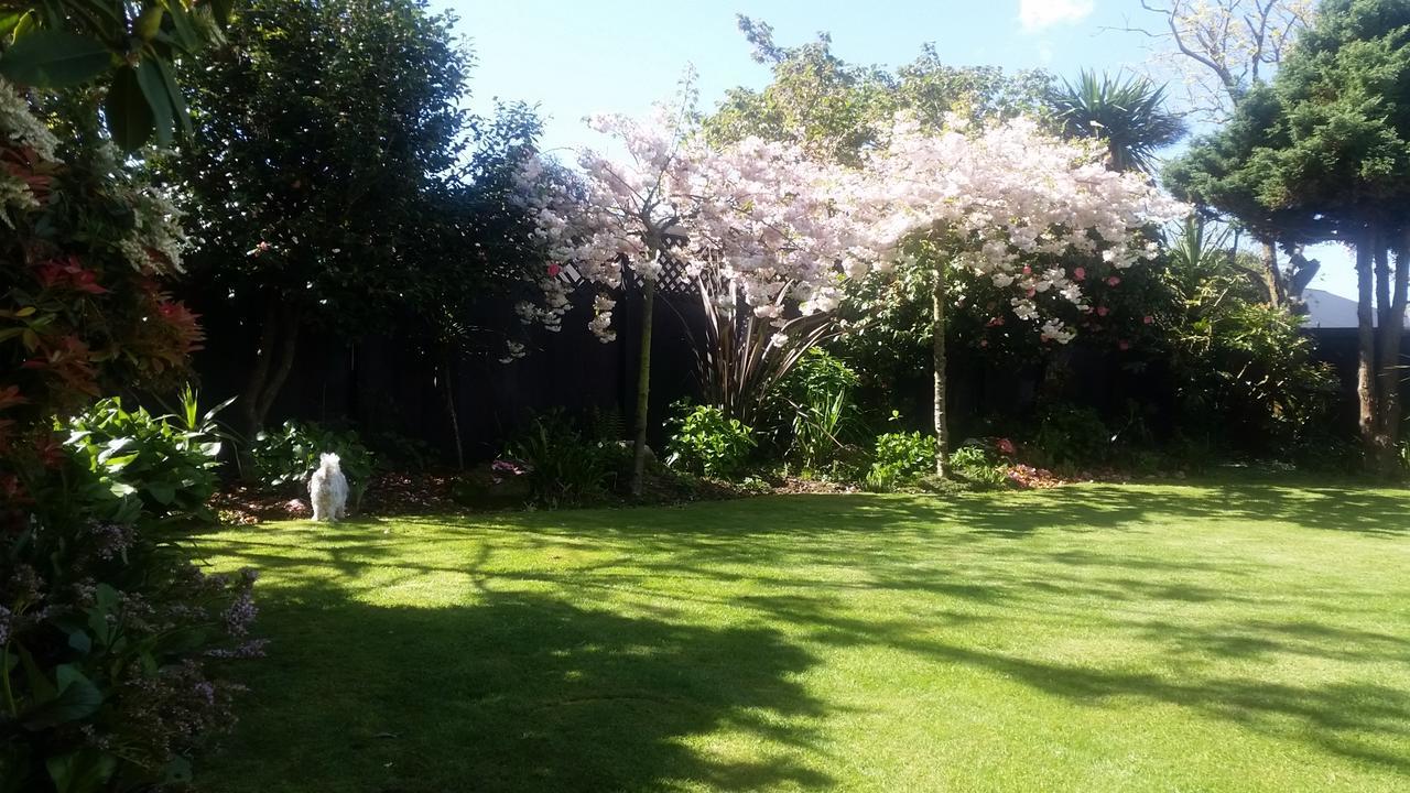 Berni'S Boutique Bnb Christchurch Kültér fotó